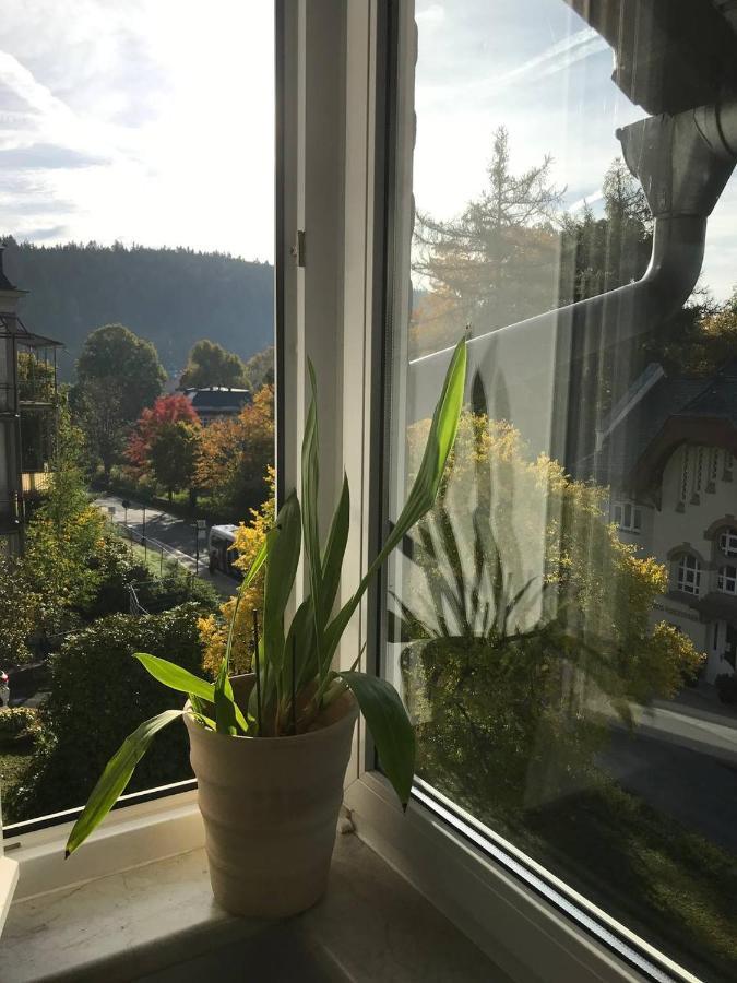 Ferienwohnung In Villa Bad Elster Exteriér fotografie